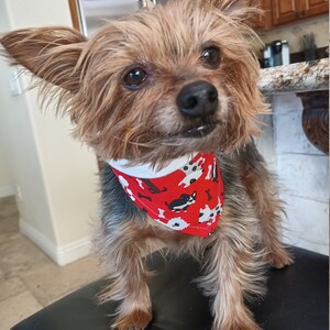 Cute Dog Bandana- Pet Bandana - Adjustable Collar - Dog Bandana - Small Dog - Dog Gift - Cute Bandana - Pet Gift