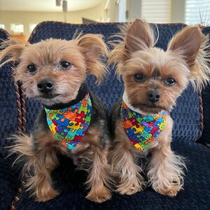 Autism Awareness Bandana - Pet Bandana - Autism Dog Bandana - Adjustable Collar - Dog Bandana - Small Dog- Bandana Dog - Autism