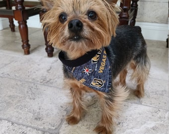 golden knights dog collar