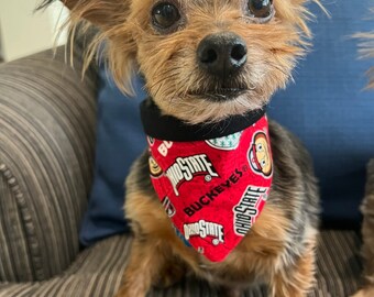 ohio state gear for dogs