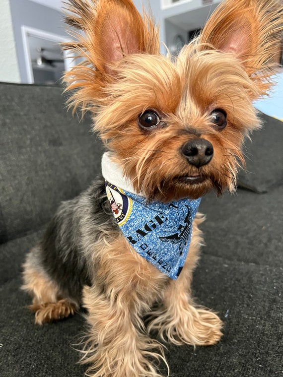 Us navy hotsell dog bandana