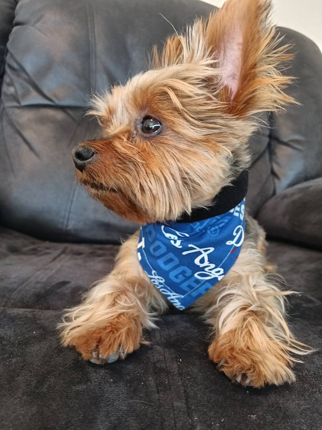 LA Dodgers Dog Bandana Adjustable Collar Dog Bandana 