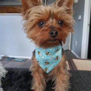 Bumble Bee Dog Bandana - Adjustable Collar - Bumble Bee - Dog Bandana - Small dog - pet Bandana - Bandana Dog - Spring Dog Bandana