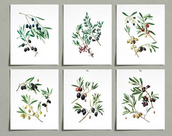 OLIVE TREE ART PRINT Book Print 213B NATURE ART PRINT Vintage Dictionary Art Print VINTAGE Art BOTANICAL ARTWORK Illustration GIFT OLIVE BRANCH ART PRINT Wall Hanging