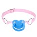 Adult Pacifier Gag Pink - ABDL Dummy Gag