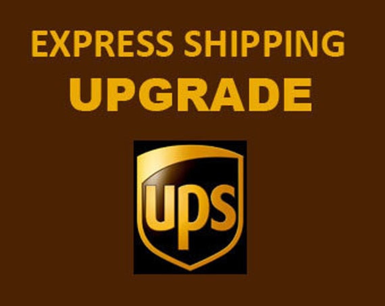 Ups consegna express