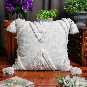 rumi shag throw pillow