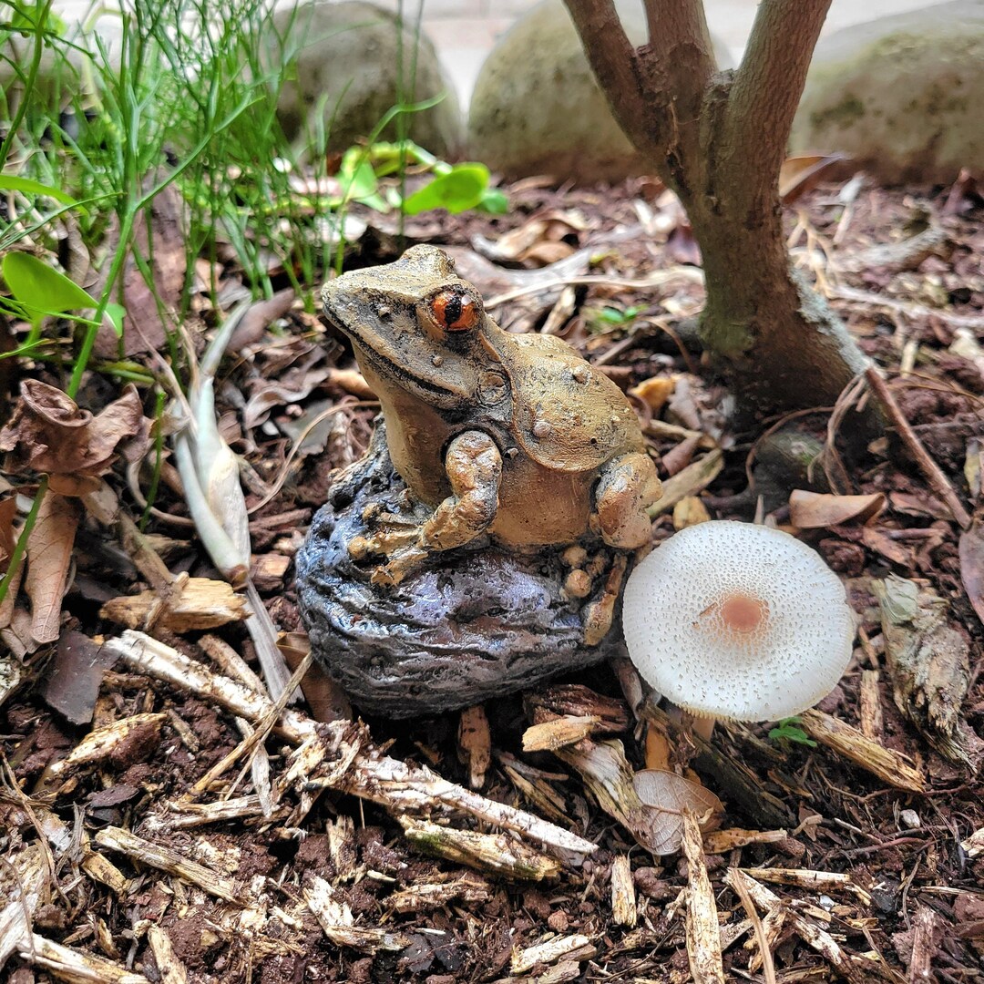 Loading Frog Frog Concrete Statue, Frog Lover Gift for Friend, Outdoor Statues for ...