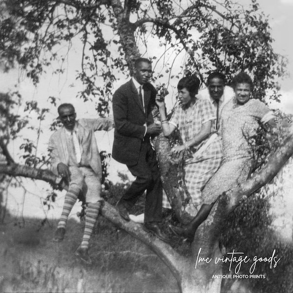 Friends Posing in a Tree photo print | Black Americana | 1920s Tree Climbing Group Photo
