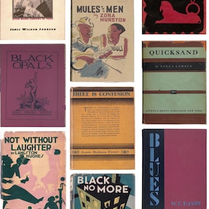 Może przedstawiać: Kolekcja starych książek z kolorowymi okładkami. Tytuły to m.in. "Mules and Men", "Black Opals" i "Blues". Okładki zawierają ilustracje i tekst, prezentując r&oacute;żnorodne dzieła literackie.