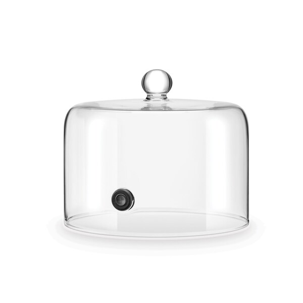 Glass Cloche for Smoking Gun