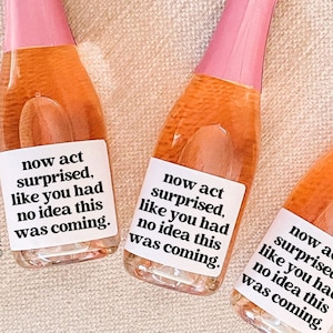Etiqueta de vino para propuesta de dama de honor, ahora actúa sorprendido, ¿Serás mi dama de honor?, regalo de dama de honor, vela de dama de honor, mini champán, regálale