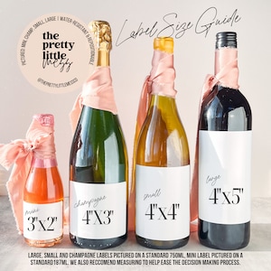 May include: Four wine bottles with labels showing different sizes: mini (3"x2"), champagne (4"x3"), small (4"x4"), and large (4"x5"). The bottles are wrapped in pink ribbon and are on a white background.