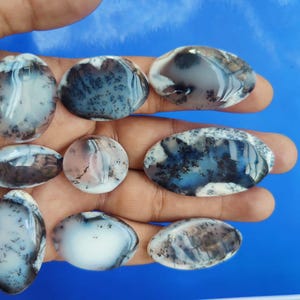 Puede incluir: Una colección de piedras preciosas de ágata dendrítica pulida en varias formas ovaladas y redondas. Las piedras muestran una mezcla de patrones blancos, grises y negros, que se asemejan a paisajes naturales. Las piedras preciosas se sostienen en una mano sobre un fondo azul.