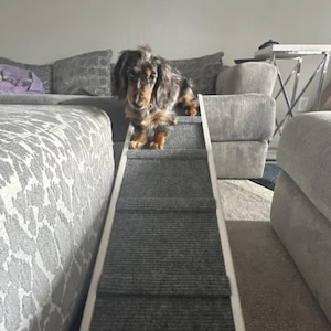 16&quot;x40&quot; Adjustable Pet Ramp for Large Dogs (25–125lbs) – 16&quot; and 20&quot; Height Settings, Carpet with Traction Bumps, Rubber Feet, Sturdy & Safe
