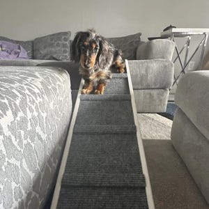 10"x40" Pet Ramp 16" and 20" adjustments for Small Dogs <20lbs – Traction Bumps, Rubber Feet for Hardwood Floors – Bed & Couch Access Ramp