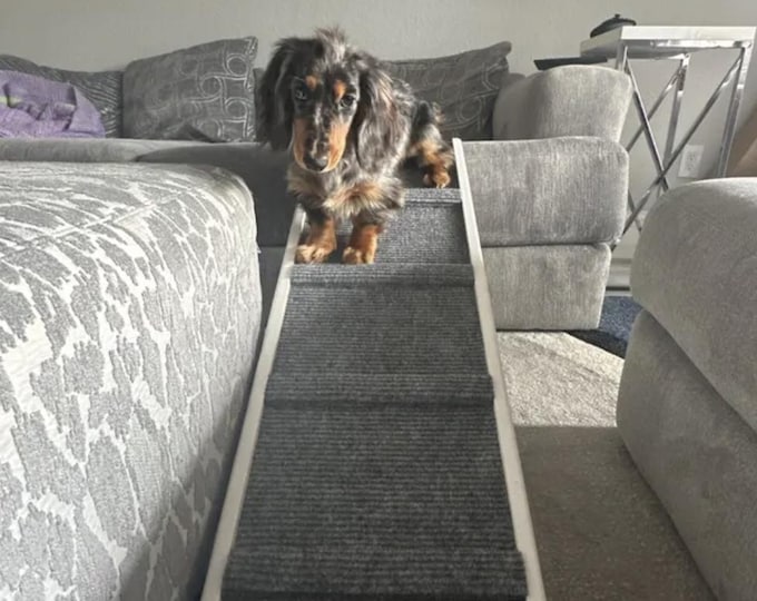 10"x40" Pet Ramp 16" and 20" adjustments for Small Dogs <20lbs – Traction Bumps, Rubber Feet for Hardwood Floors – Bed & Couch Access Ramp