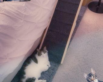 12"x48" Adjustable Pet Ramp – 16", 20", and 24" Heights, Traction Bumps, Rubber Feet – For Small Dogs <20lbs, Sturdy and Durable Wood Design