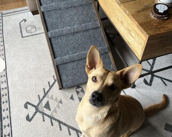 Large Dog Ramp for Bed – 16x40 Adjustable Pet Ramp – 16" & 20" High – Wooden Dog Ramp with Side Rails