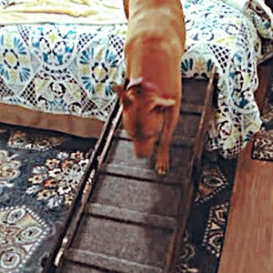 16&quot;x48&quot; Adjustable Pet Ramp – 16&quot;, 20&quot;, 24&quot; Heights, Side Rails, Carpet, Traction Bumps, Rubber Feet, Pets Up to 120lbs