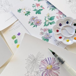 Wildflowers Adult Watercolor Paint Kit: 8 Prelined Pages with Flowers, Brush, Paint, Palette, Color Chart, Painting Tips & Reference Image