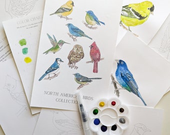 DIY Birds Watercolor Adult Painting Kit: 8 Prelined Pages with Birds, Brush, Paint, Palette, Color Chart, Painting Tips & Reference Image