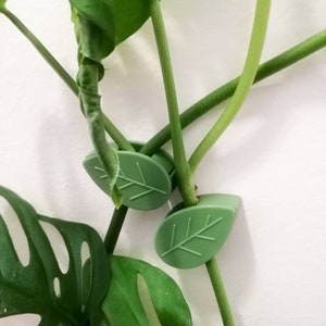 Plant wall climber clips, SET OF 10 Indoor plant wall vining supports, Adhesive wall clips for houseplants, Mounted wall clips