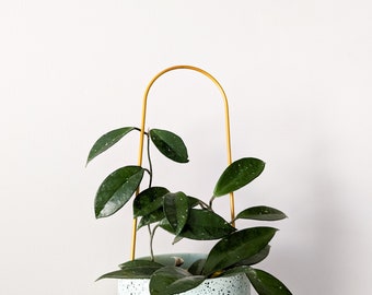 Copper Houseplant Trellis, Hoya Plant Climber, Modern Decor