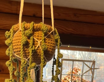 Crochet Hanging Plant/ String of Pearls