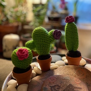 Crochet Succulent Cactus Plants