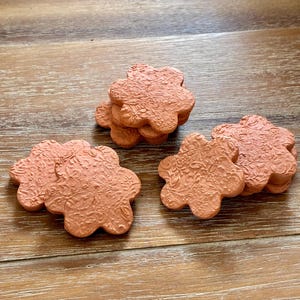 May include: A collection of terracotta-colored clay shapes, each cut into a six-petaled flower silhouette. The surface of every piece features a detailed, embossed floral pattern with intricate leaves and blossoms across the entire top.