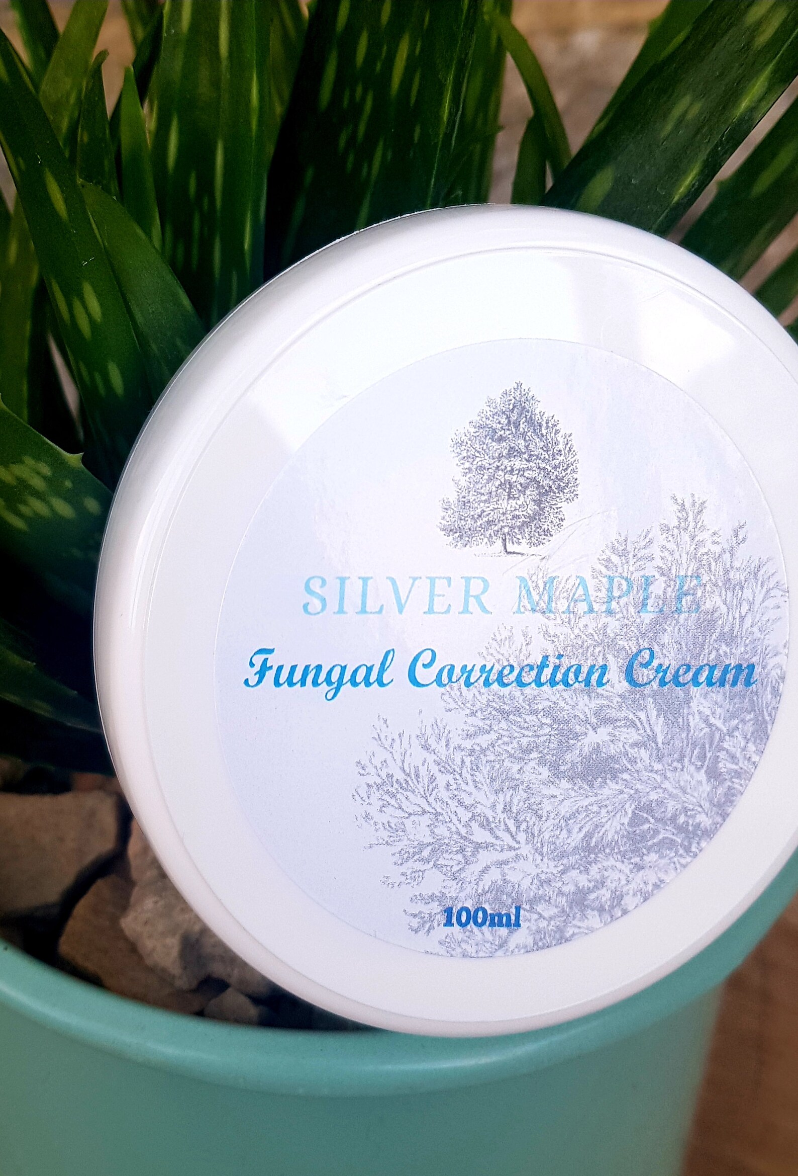 20ppm Colloidal Silver/Nano Silver Cream for athletes foot/dry Etsy