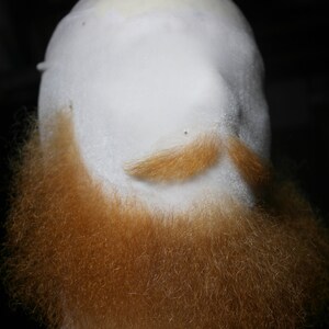 May include: A white mannequin head with a full, reddish-brown beard and a light brown mustache.