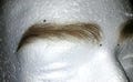 Realistic Lace Eyebrows for Men – Handmade  Eyebrows – Theatre Film Cosplay.