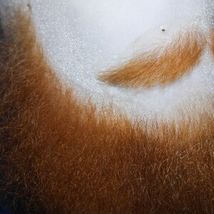 May include: A close-up of a red beard with a small, thin, red mustache above it.