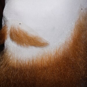 May include: A close-up of a man's beard, with the top portion of the beard shaved off, revealing a white surface. The beard is a reddish-brown color and appears to be thick and full.
