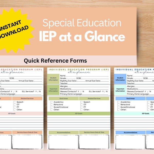 IEP at a Glance Form, Special Education IEP Quick Reference Form, IEP Snapshot Form, Special Education Organization Form,  Instant Download