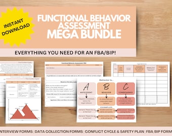 Bundel functionele gedragsbeoordeling, FBA/BIP, speciaal onderwijs, schoolpsychologie, MTSS, gegevensverzameling, bcba aba, gedragsmodificatie