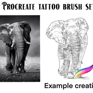 Procreate Tattoo Stamp and reference image of Elephant
