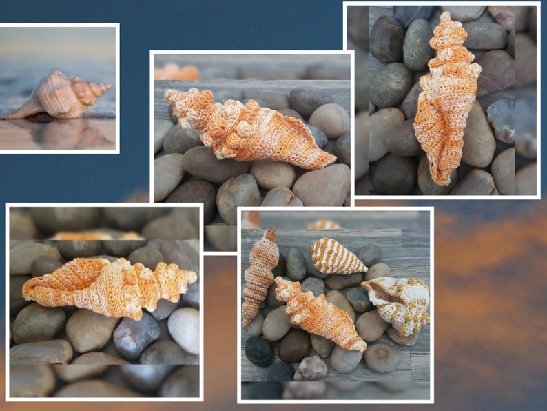 Crochet Crown Seashell