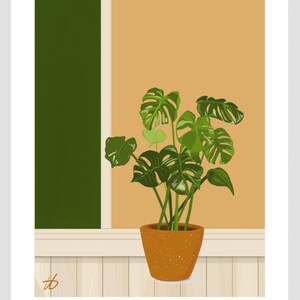 Cheese Plant 30x40cm print