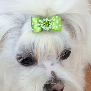 Petite Dog Bows,Small Dog Hair Bows,Pigtail Dog Bows,Bows For Maltese/Yorkie/Shih Tzu,Dogs Top Knot Bows,Grooming Dog Bow,Tiny Dog Bow