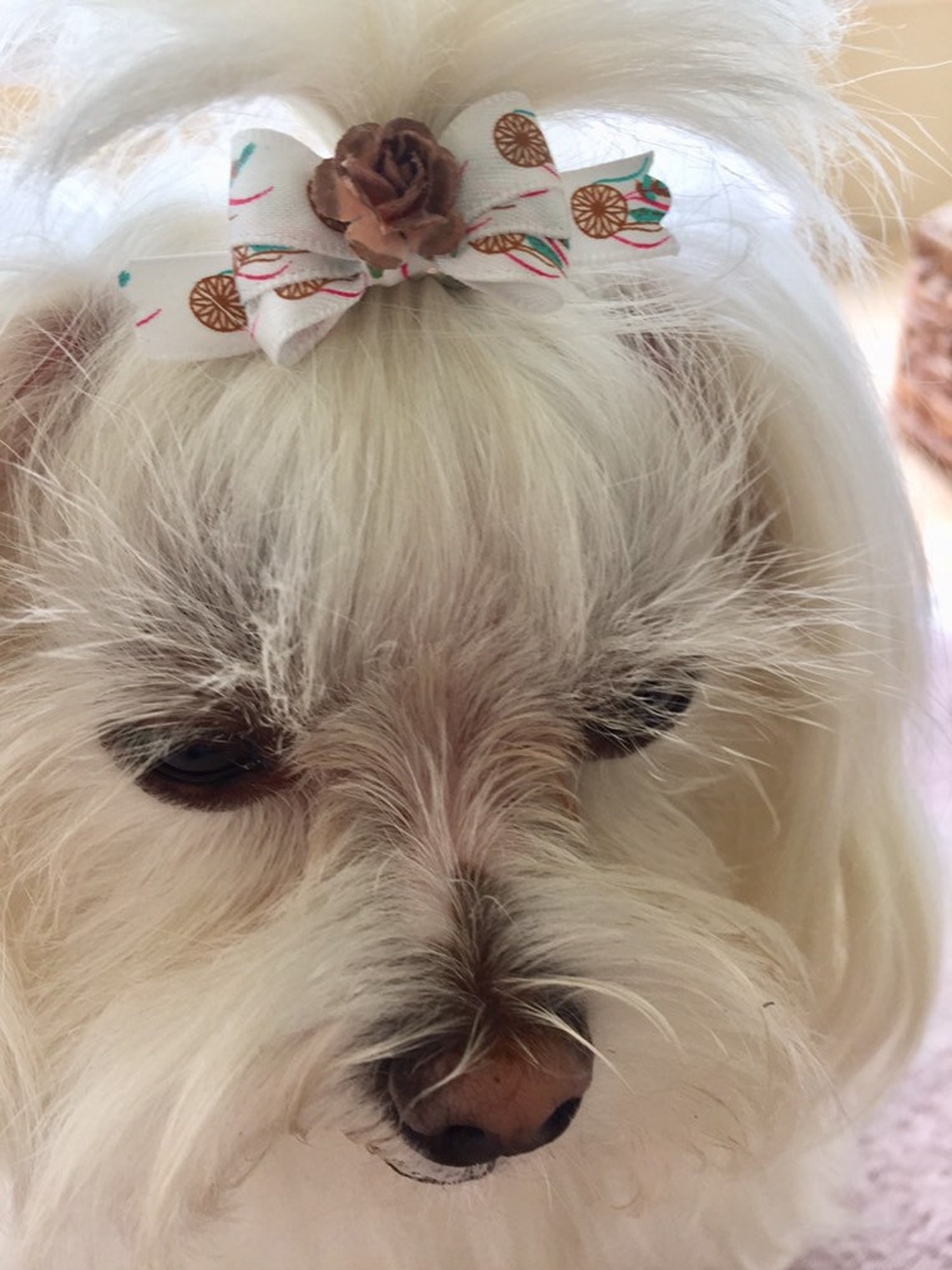 Petite Dog Bows Small Dog Hair Bows Pigtail Dog Bows Bows Etsy