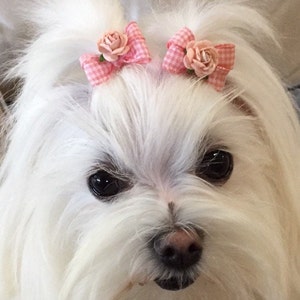 Petite Dog Bows,Small Dog Hair Bows,Pigtail Bows For Dogs,Bows For Maltese/Yorkie /Shih Tzu,Dogs Top Knot Bows,Grooming Dog Bow,Tiny Dog Bow