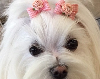 Petite Dog Bows,Small Dog Hair Bows,Pigtail Bows For Dogs,Bows For Maltese/Yorkie /Shih Tzu,Dogs Top Knot Bows,Grooming Dog Bow,Tiny Dog Bow