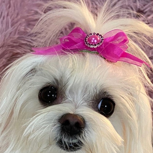 Dog Hair Bow Tulle Ribbon Hair Bows for Dogs Rubber Band Dog Etsy