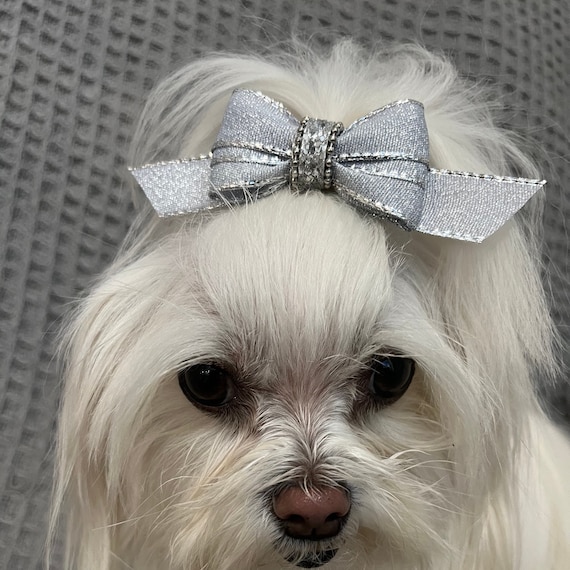 Tiny dog cheap bows