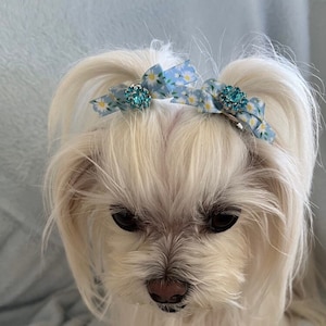 Petite Dog Bows,Small Dog Hair Bows,Pigtail Bows For Dogs,Bows For Maltese/Yorkie /Shih Tzu,Dogs Top Knot Bows,Grooming Dog Bow,Tiny Dog Bow