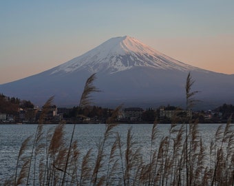 Photo Fleurs de Cerisier et Mont Fuji au coucher du soleil, Kawaguchiko Japon Grand format Décoration d'intérieur