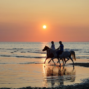 Fotografía Paseos a caballo en la playa de Deauville, Normandía Francia Gran formato Decoración del hogar